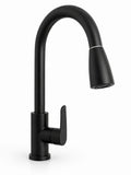 SINK MIXTURE KITCHEN PULL OUT SHOWER